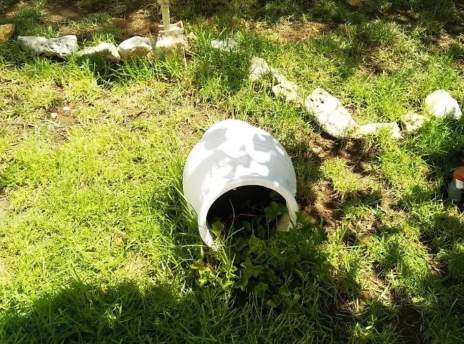 Летний дом Nikis