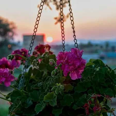 Casa di campagna Nikis Rethymno