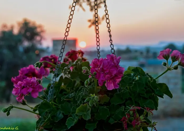 Landhuis Nikis Rethimnon