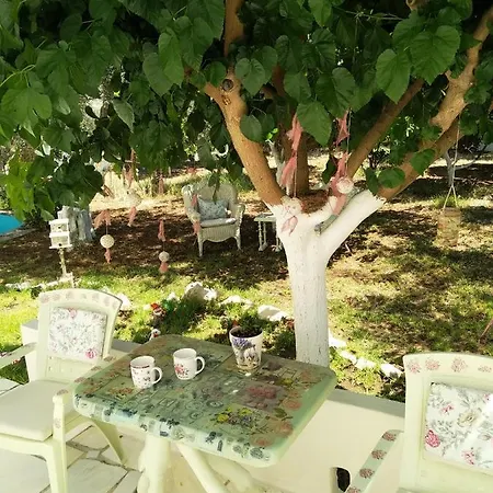 Nikis * 罗希姆诺